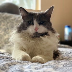 Meet your Posher, April